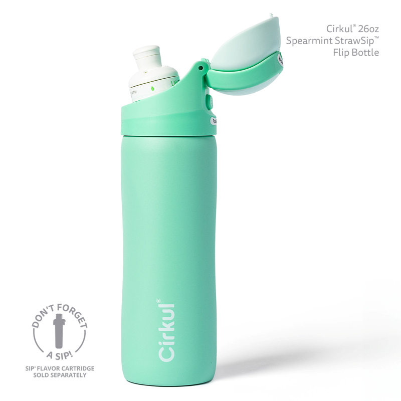26oz Stainless Steel Double Wall Insulated Water Bottle - Spearmint