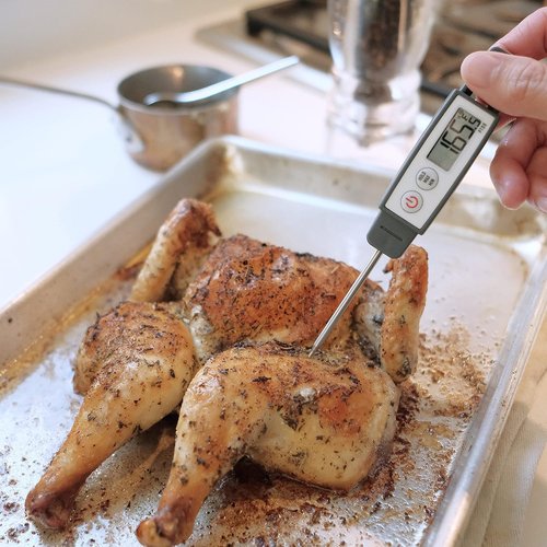 Lavatools PT09 Digital Thermometer - Super-Quick Commercial Grade for Cooking, Meat & Candy | 4.5" Probe, Splash Proof, °C/°F Toggle