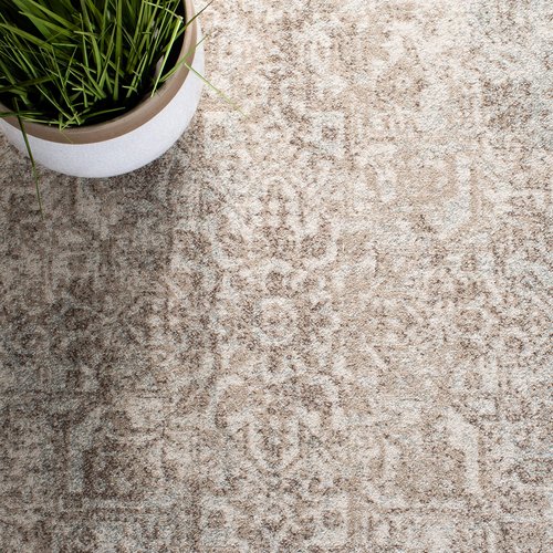 SAFAVIEH Evoke Collection Area Rug - 5'1" x 7'6", Ivory & Taupe, Distressed Design, Non-Shedding & Easy to Clean, Ideal for Living Room, Bedroom, Dining Space (EVK256E)