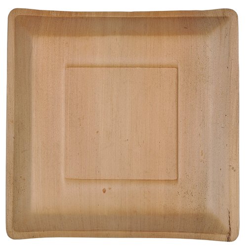 ATMOS GREEN 100 pack 10" Square Palm Leaf Dinner Plate Compostable disposable premium heavy duty Eco-Friendly Microwave Refrigeration safe Bamboo like Wedding Events Party