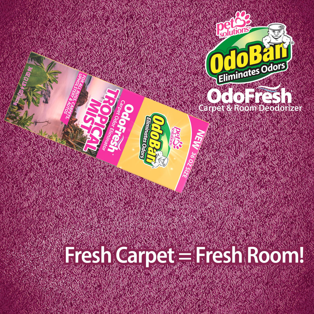 OdoBan OdoFresh Carpet and Room Deodorizer Powder for Home Smells and Odors Including Smoke, Pet Urine, Dogs, and Cat Litter, Made in the USA, Tropical Scent, 36 Ounces