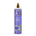 Santal Dreams Fragrance Body Mist - Warm Woods & Amber, 8 fl oz