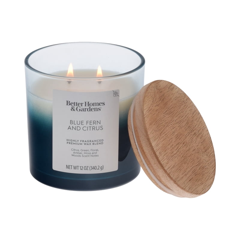 Blue Fern and Citrus Scented 2-Wick Ombre Jar Candle - 12 oz
