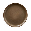 10.25-Inch Brown Stoneware Dinner Plate - Unique Reactive Glaze
