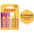 Natural Moisturizing Lip Balm Tropical Variety Pack - 4 Piece Set