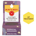 Overnight Lip Treatment for Dry Lips - Natural Ceramide Lip Therapy