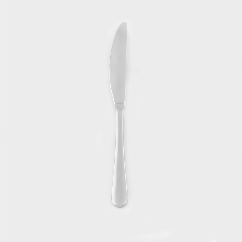 Stainless Steel Dinner Knife - Silver Finish, 1 Count