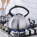 2.3-Quart Brushed Stainless Steel Tea Kettle with Whistle