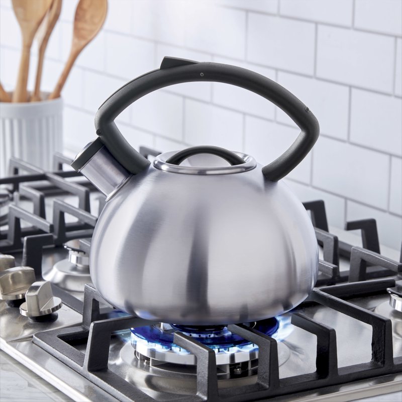2.3-Quart Brushed Stainless Steel Tea Kettle with Whistle