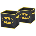 Batman Kids' 2-Pack 10x10 Storage Cubes with Handles - Toy & Closet Organizer