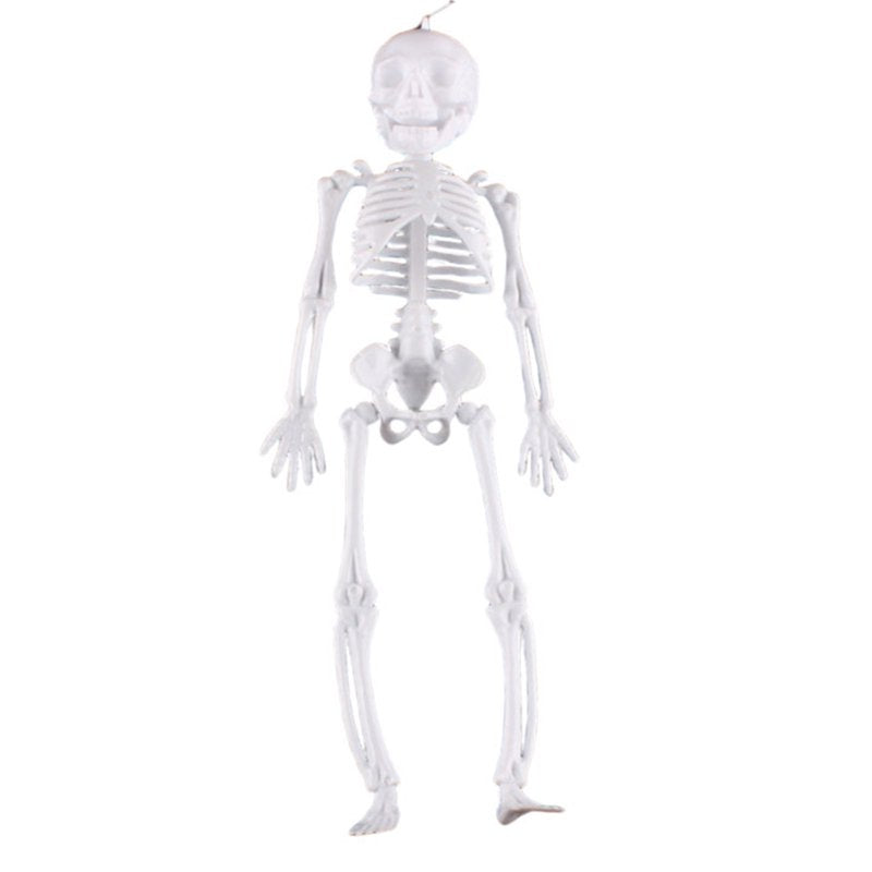 Darzheoy 11.5-Inch Halloween Skeleton Decoration - C Variation