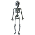 Halloween Skeleton Decorations - 11.5 Inch Prankster Skeleton Model, Room & Venue Props B