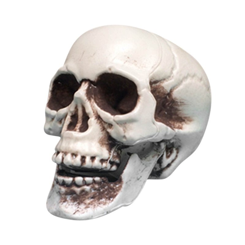 Realistic Halloween Skull Prop - Mini Human Skull Model for Spooky Decorations