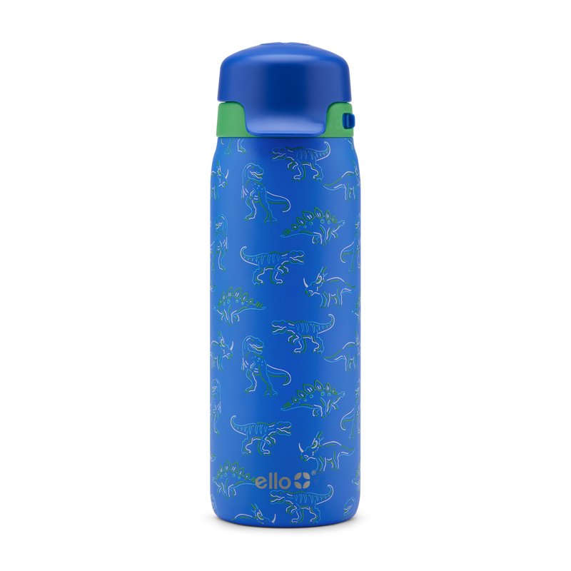 18oz Stainless Steel Water Bottle - Electric Dino Design
