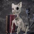 Halloween Plastic Dog Skeleton with Posable Joints - Spooky Dog Decor, 12.6 Inch - Indoor & Outdoor Decoration - Chihuahua Variation