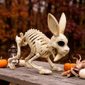 Joyfy Rabbit Skeleton - Animal Skeleton Model for Education & Decor - Rabbit Variation