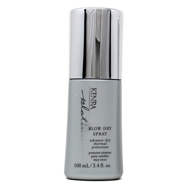 Blow-Dry Spray Heat Protection for Smooth, Frizz-Free Hair - 3.4 fl oz