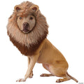 Lion Dog Costume Pet Zoo Animal Outfit - Size Large