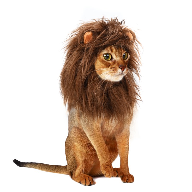 Lion Mane Wig for Cats - Coffee Brown, Size S, Pet Halloween Costume Accessory