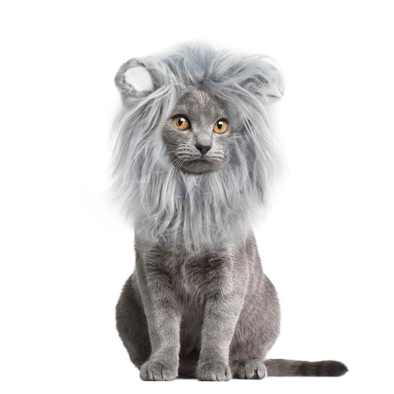 Grey Lion Mane Wig for Cats - Small Size Halloween & Christmas Costume Accessory