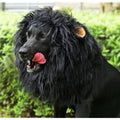 Lion Mane Wig for Dogs - Large Black Pet Costume Accessory, Halloween Fancy Dress (Variation: Black, L)