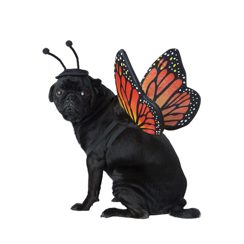 Pet Butterfly Costume with Wings for Dogs & Cats - Monarch Style