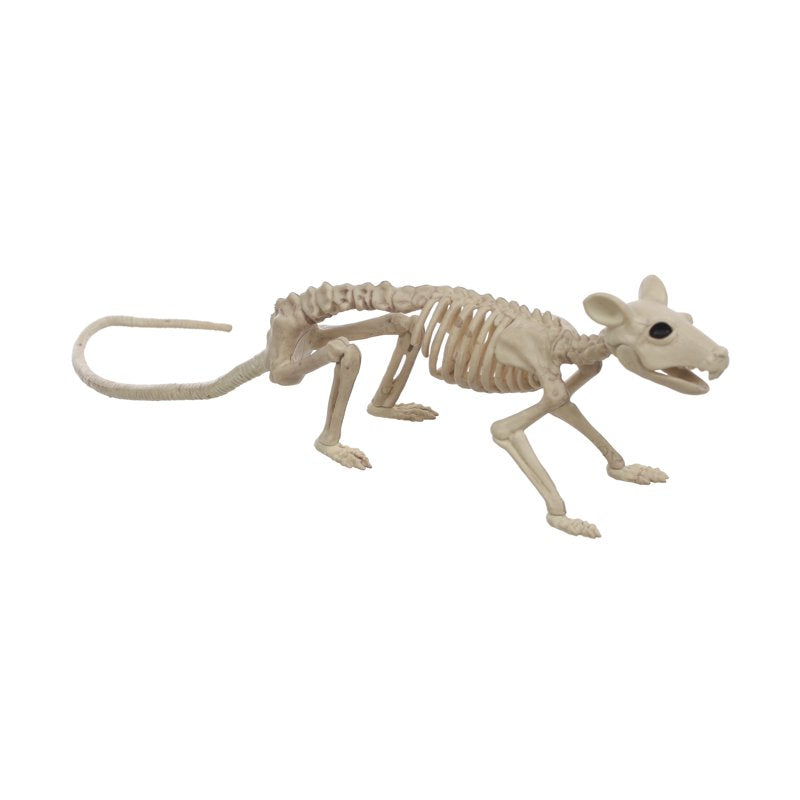 Faux Rat Skeleton Halloween Decor - Life Size, Movable Jaw & Bendable Tail - Crazybonez Variation of Rat