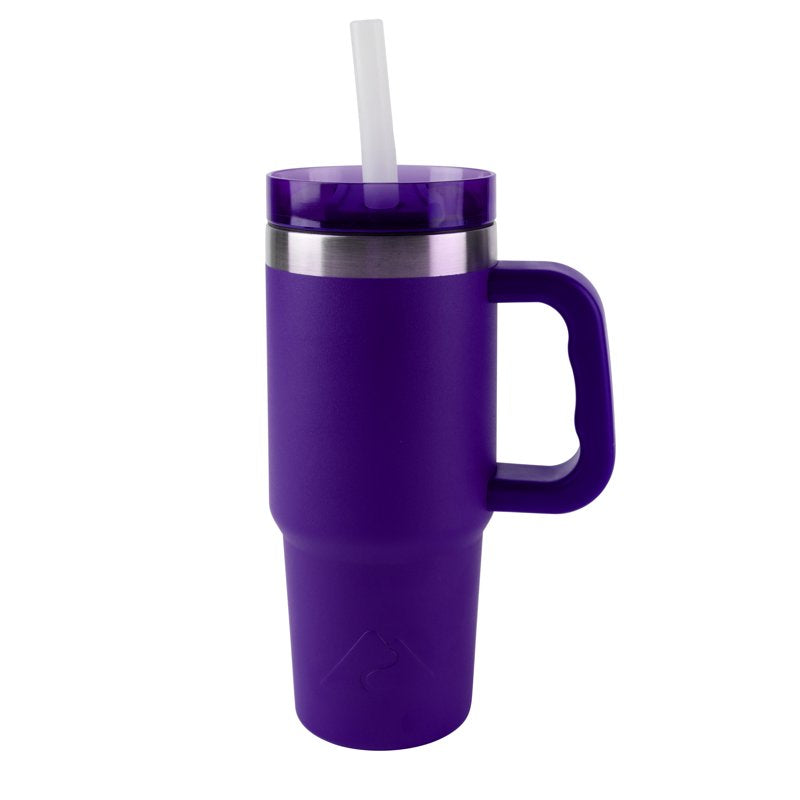 18 oz Stainless Steel Insulated Tumbler with Handle - Purple