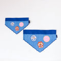 Pet Bandana for Dogs - Small/Extra Small, Pack of Patches