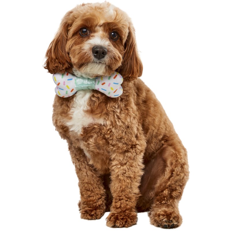 Pet Party Collar Bow-Ne Accessory with Hanging Bone - Fun Dog Collar