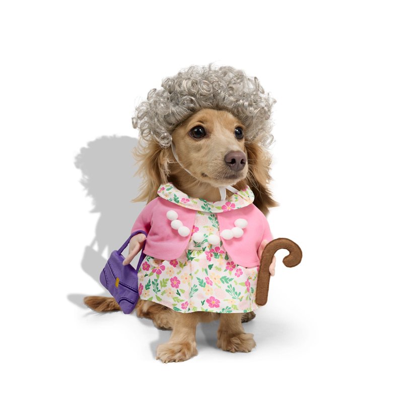 Petco Grandma Pet Costume Set - Medium with Wig & Illusion Costume