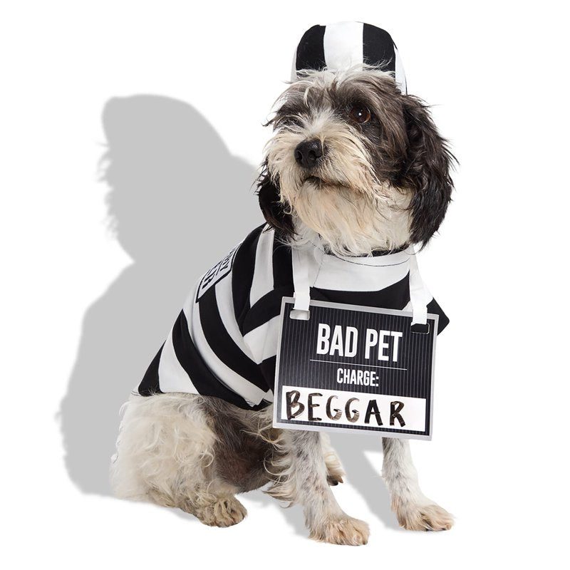 Large Prisoner Pet Halloween Costume with Accessories - Variation L