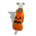 Petco Pumpkin Pet Hoodie XS - Halloween Costume for Small Pets