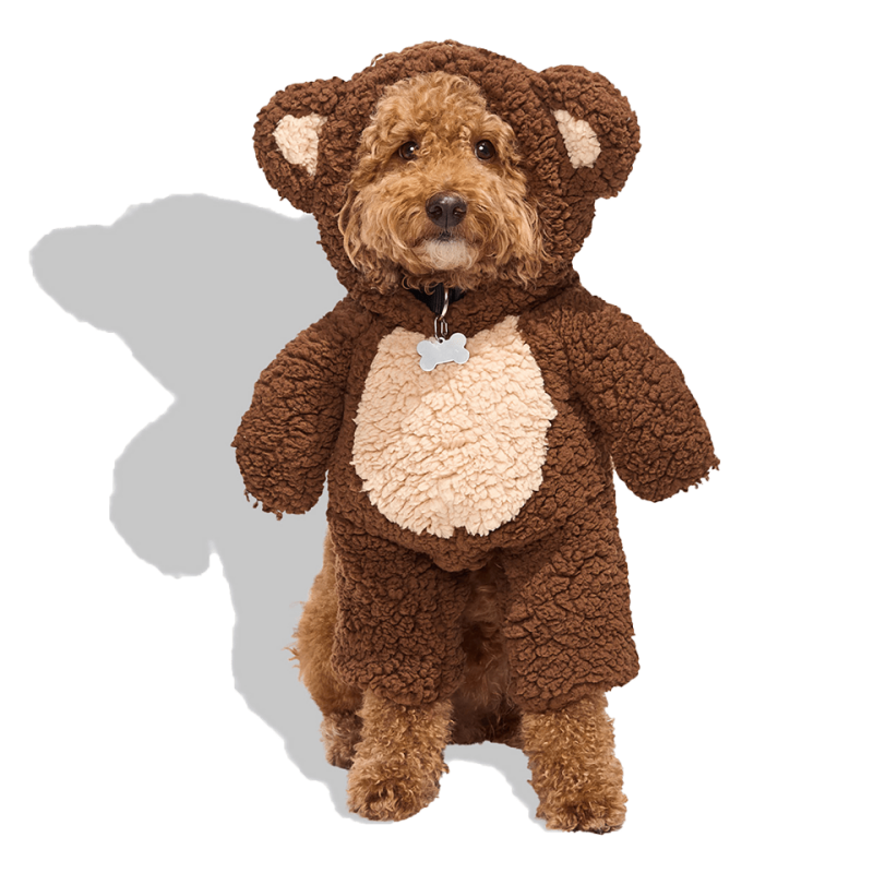 Petco Teddy Bear Illusion Pet Halloween Costume Medium with Soft Sherpa