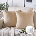 20x20 Inch Beige Polyester Throw Pillow Set of 2 - Soft Silky Velvet Home Decor