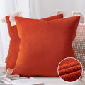 18x18 Inch Red Corduroy Velvet Throw Pillow with Cotton Tassel Set - 2 Pack