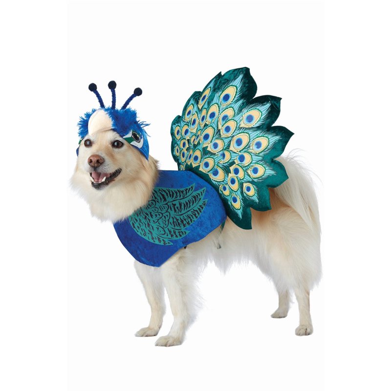 Pet Costume S Pretty as a Peacock Dog Costume - Colorful Feather Design
