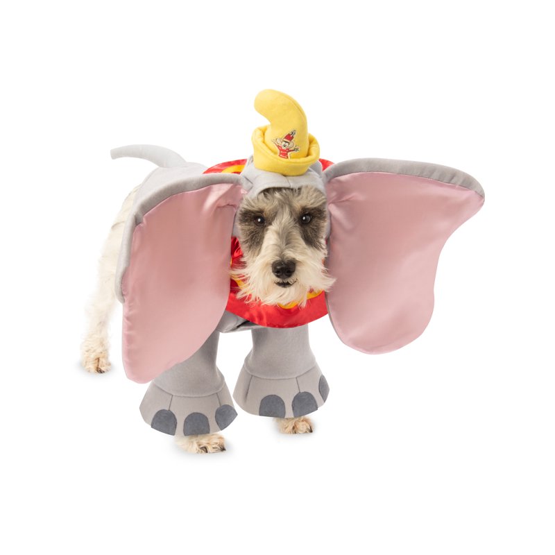 Medium Gray Dumbo Pet Costume Headpiece with Hat & Collar - 6-10 lbs