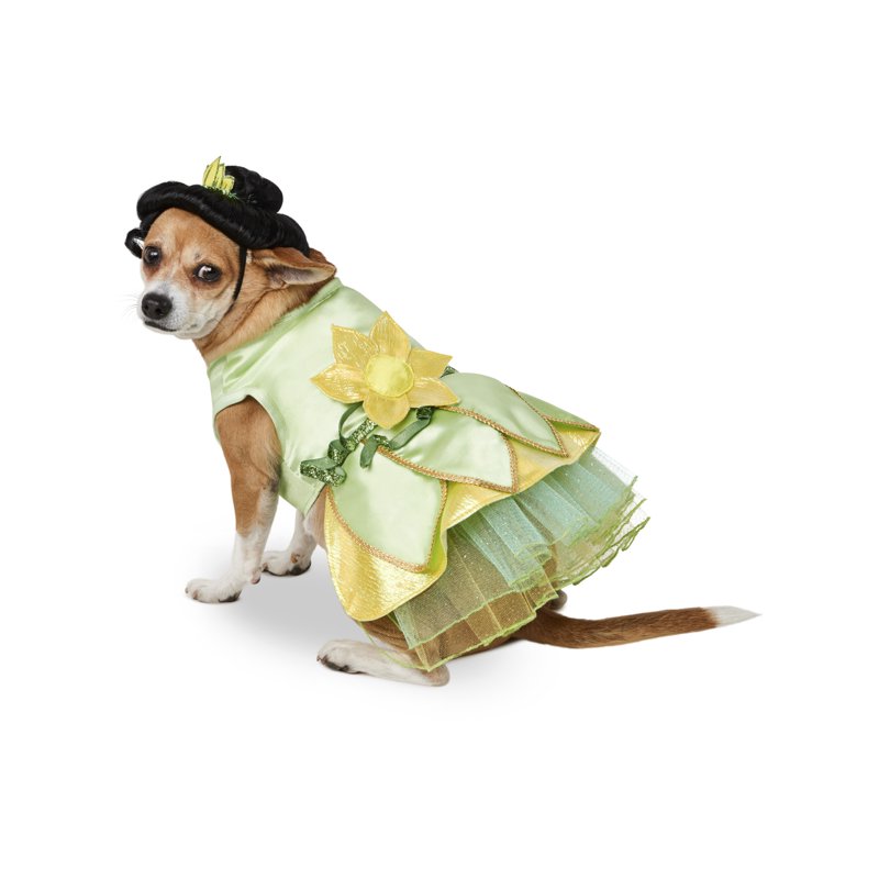 Pet Tiana Costume with Wig - Green, Medium, 30-45 lbs