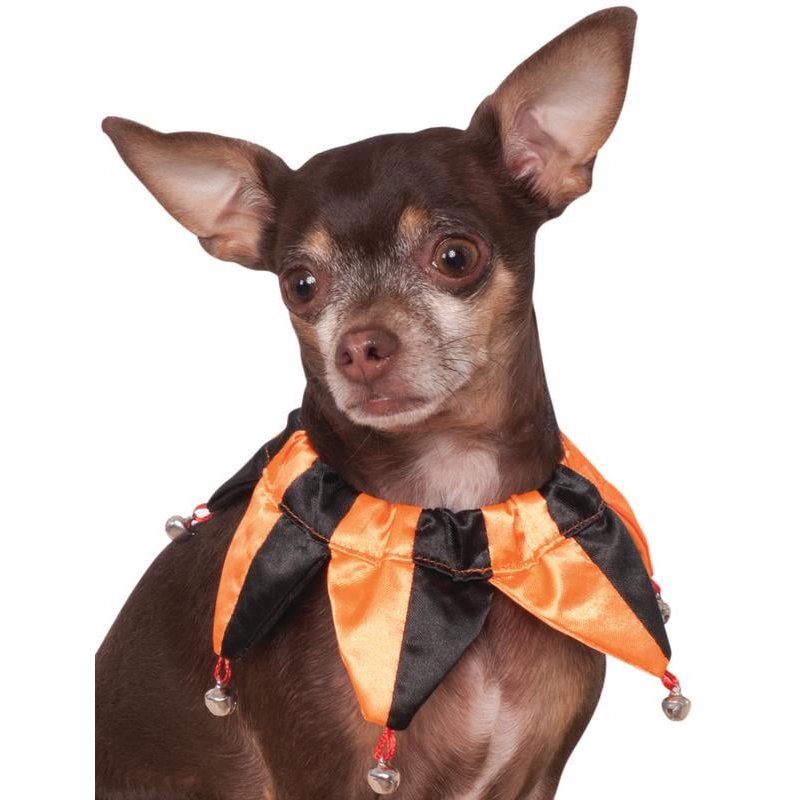Pet Halloween Costume Accessory Orange Jester Collar for Dog or Cat S/M