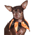 Pet Halloween Costume Accessory Orange Jester Collar for Dog or Cat S/M