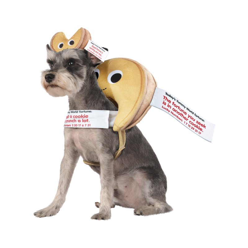 Pet Costume Fortune Cookie L/XL - Dog Costume & Headpiece for Dogs