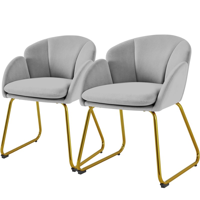 Pack of 2 Velvet Armchair Dining Chairs with Gold Legs - Gray