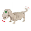 Animated Halloween Skeleton Dog Decor with Pre-lit Wiener Dog Figure