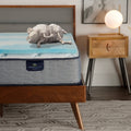 Cooling Memory Foam Mattress Topper Twin XL - 1.5 Inch Gel-Infused Comfort