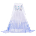 Elsa Costume for Girls 7-8 Years - Snow Queen Act 2 Dress with Wig, Crown, Wand & Gloves (140cm, K11)