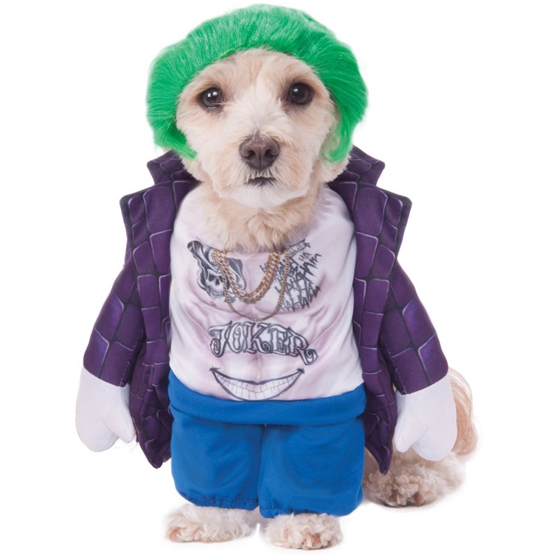 Pet Joker Costume for Dogs - Suicide Squad Themed Dog Outfit with Wig