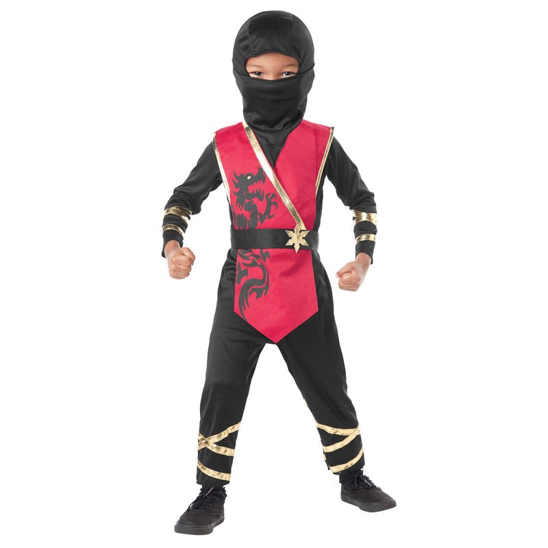 Toddler Dragon Ninja Costume 3T-4T Halloween Dress Up - Stealthy Warrior Outfit