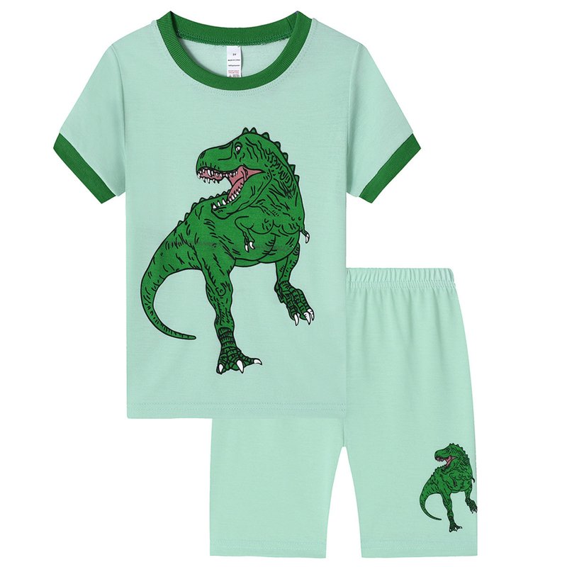 Toddler Boys Cartoon Printed Casual Shorts & Pajama Set - Size 8-9 Years - Light Green