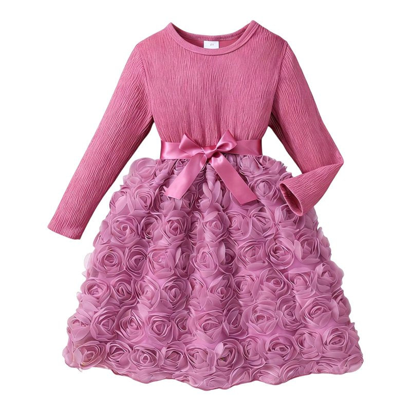 Pink Toddler Girl Dress with 3D Rose Tulle Long Sleeve Birthday Party Holiday